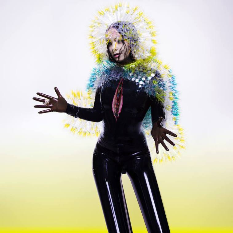 Björk-Vulnicura-Cover